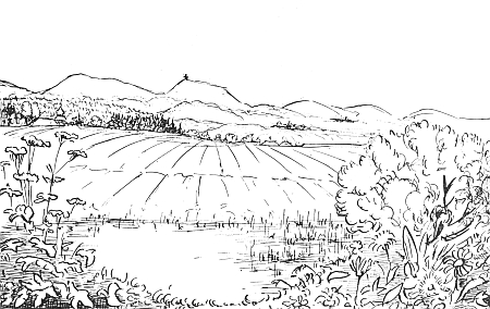 Krajina u Třemešného na jeho kresbě